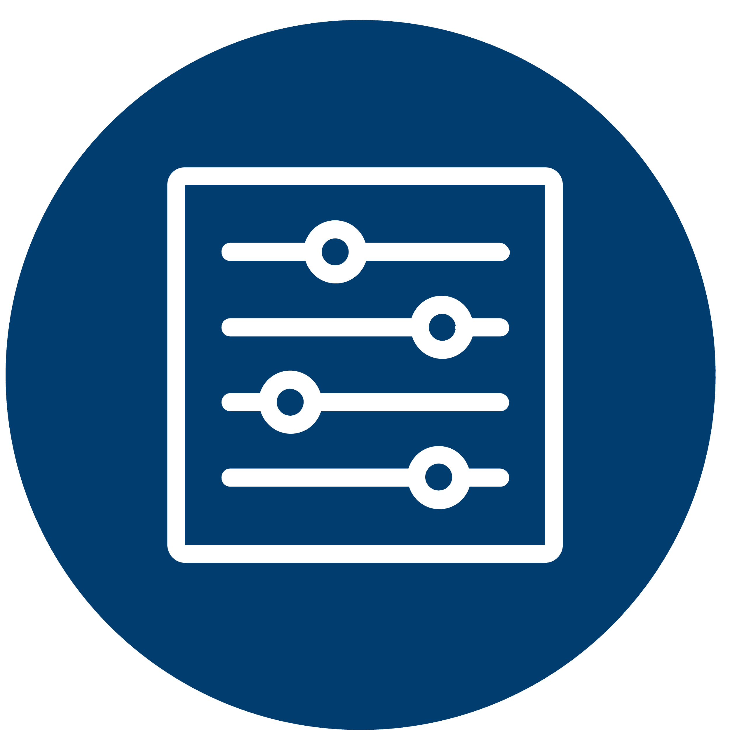 blue circle custom-adjustable settings-controls