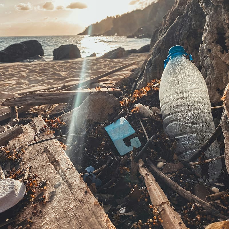 garbage cluttering the ocean beach garbage near the sea